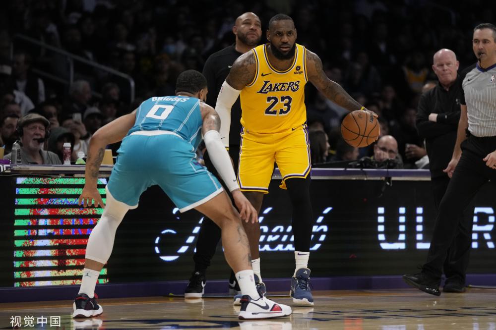 略的多样化 略的多样化